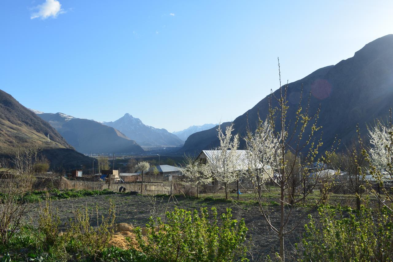 Ekaterine Guest House Kazbegi Luaran gambar